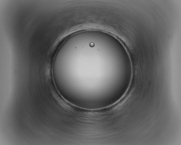 X0000114431499200910161324
