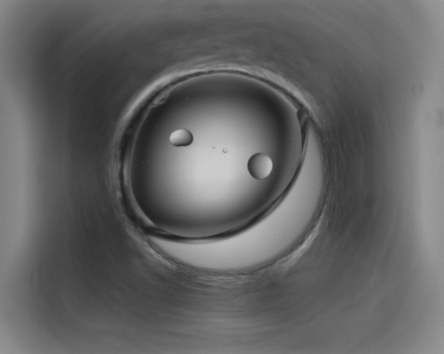 X0000114431502200910161324