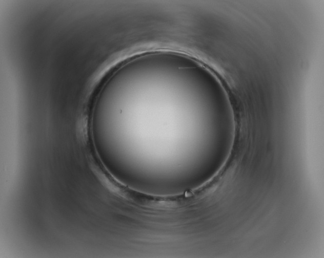 X0000114431503200910161324