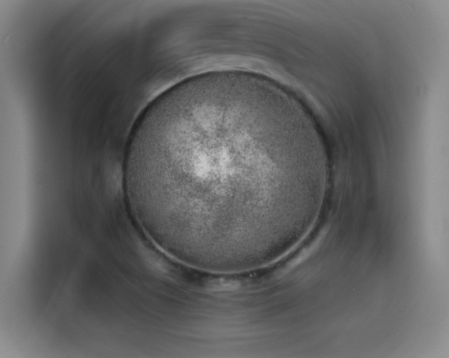 X0000114431505200910161324