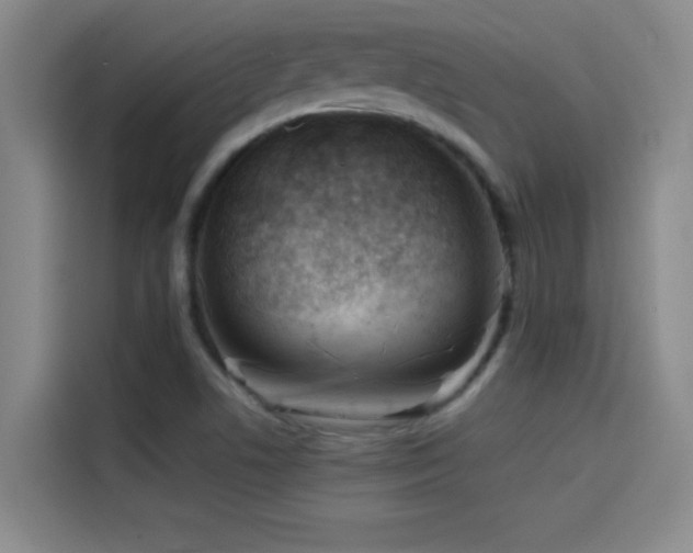 X0000114431506200910161324