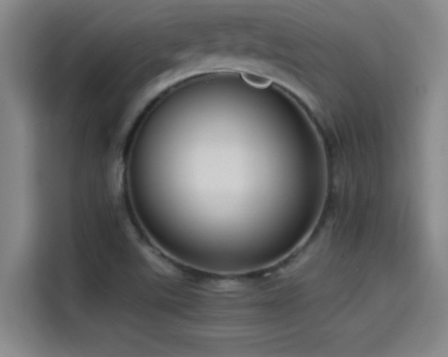 X0000114431507200910161324
