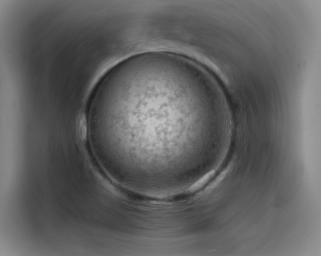 X0000114431509200910161324