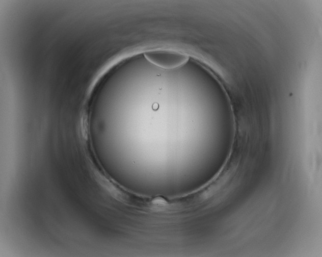 X0000114431510200910161324