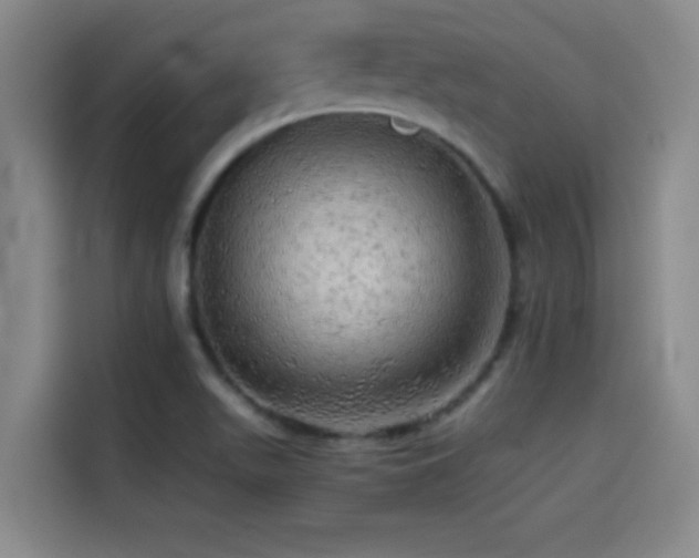 X0000114431511200910161324