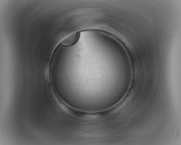 X0000114431513200910161324