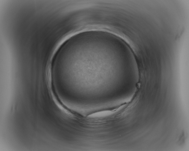 X0000114431515200910161325
