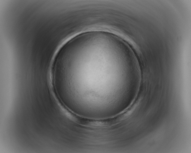 X0000114431517200910161325
