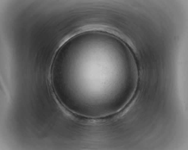 X0000114431521200910161325