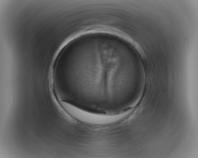 X0000114431522200910161325