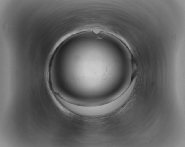 X0000114431523200910161325
