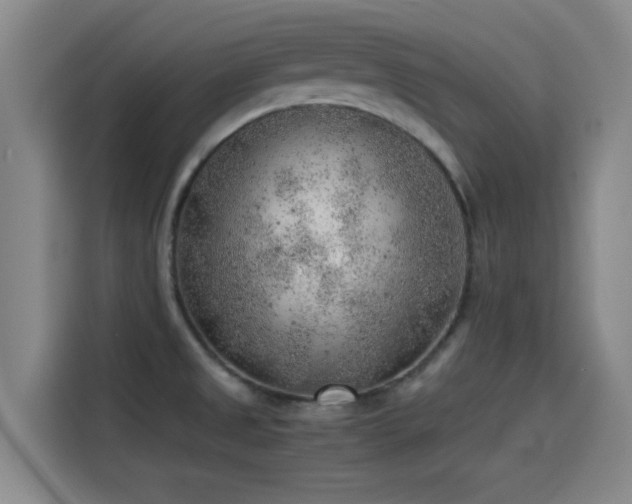 X0000114431525200910161325