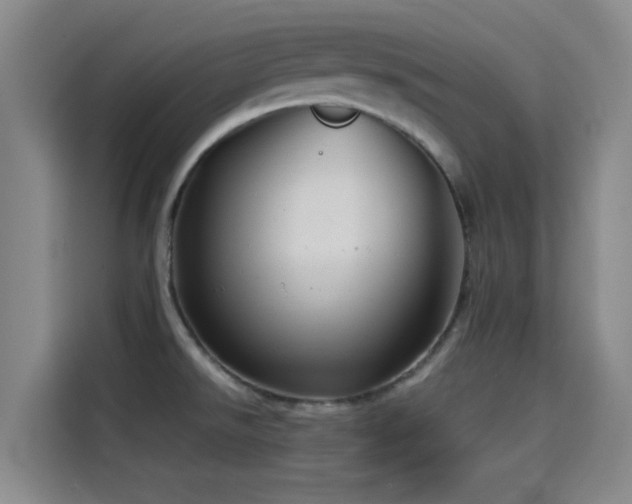 X0000114431526200910161325