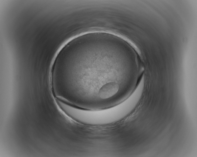 X0000114431527200910161325