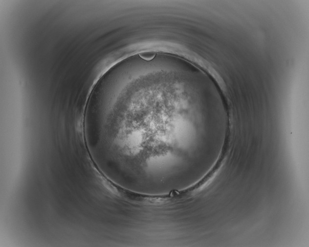 X0000114431529200910161325
