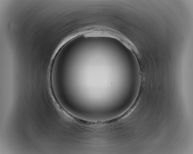 X0000114431530200910161325