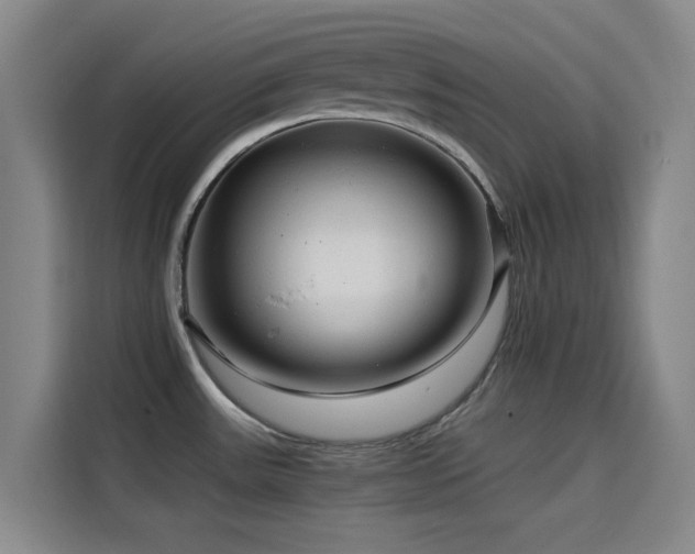 X0000114431531200910161325