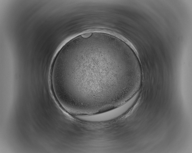 X0000114431533200910161325