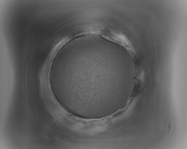 X0000114430001200910231243
