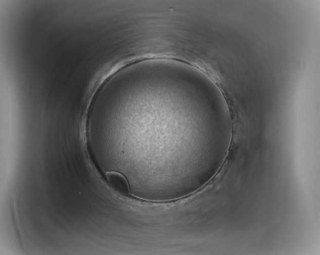 X0000114430002200910231243