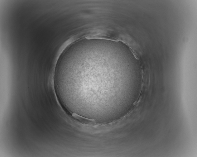 X0000114430003200910231243