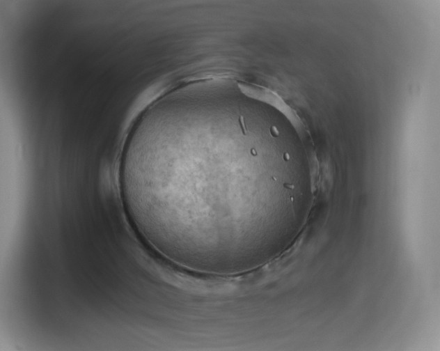 X0000114430004200910231243