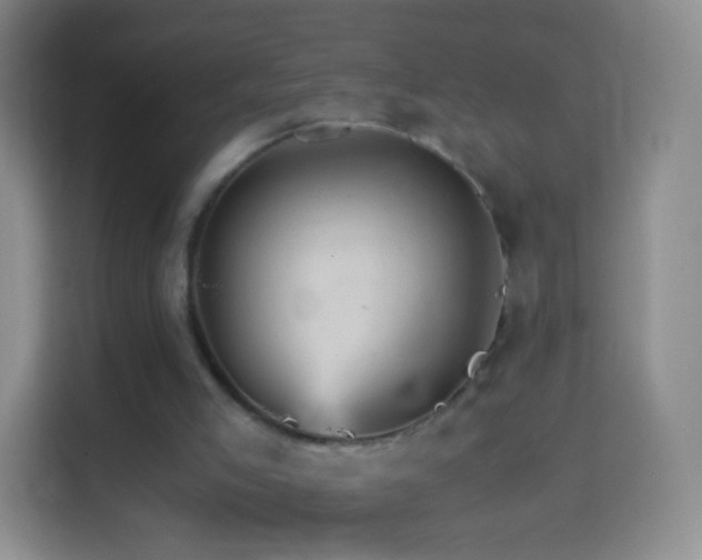 X0000114430005200910231243