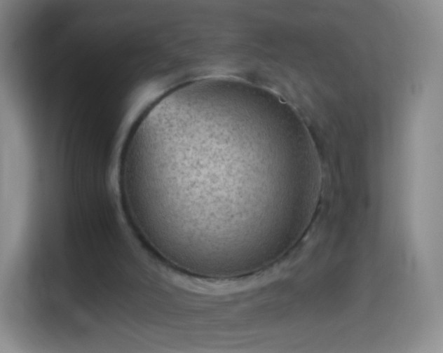 X0000114430006200910231243