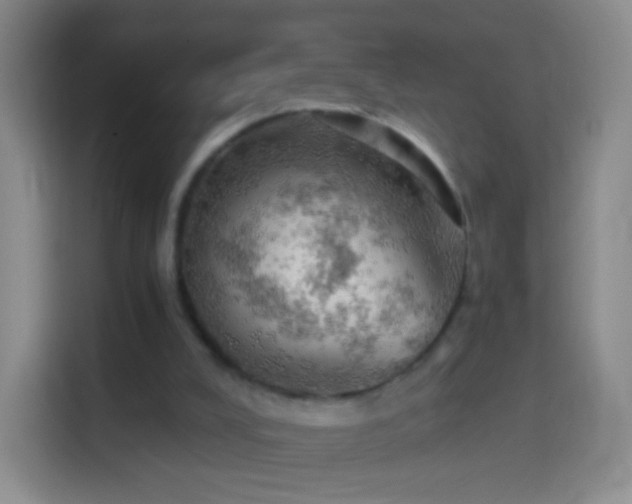 X0000114430008200910231243