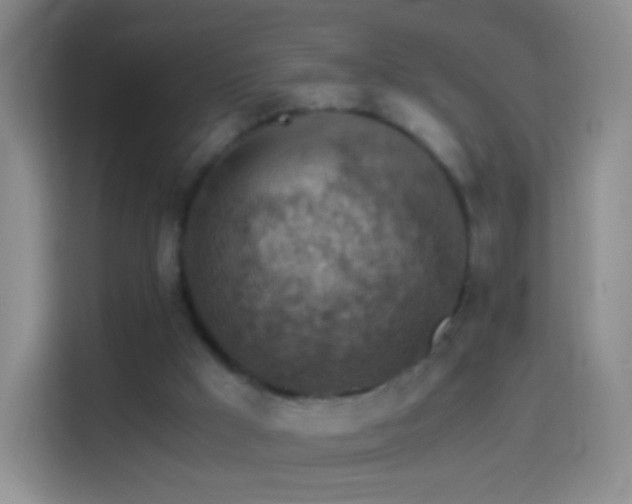 X0000114430009200910231243