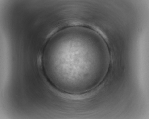 X0000114430010200910231243