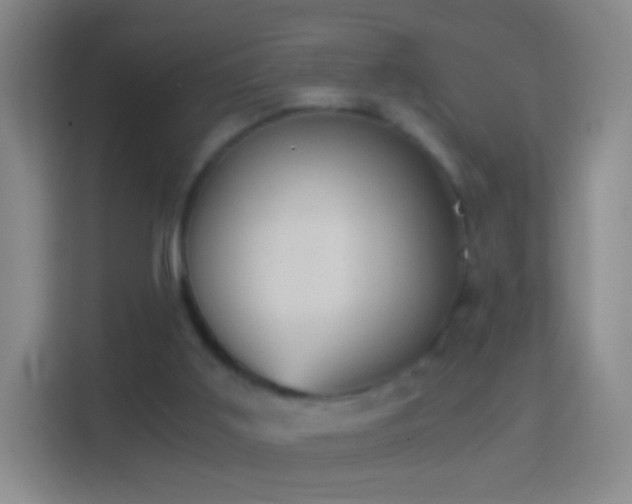 X0000114430011200910231243