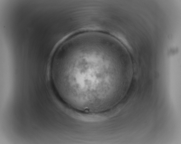 X0000114430012200910231243