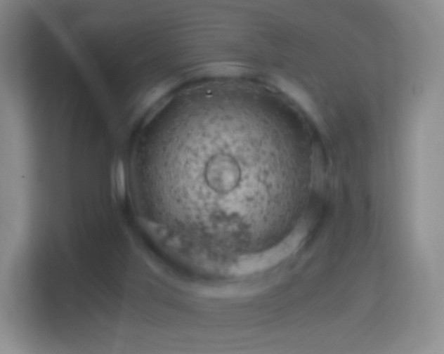 X0000114430013200910231243