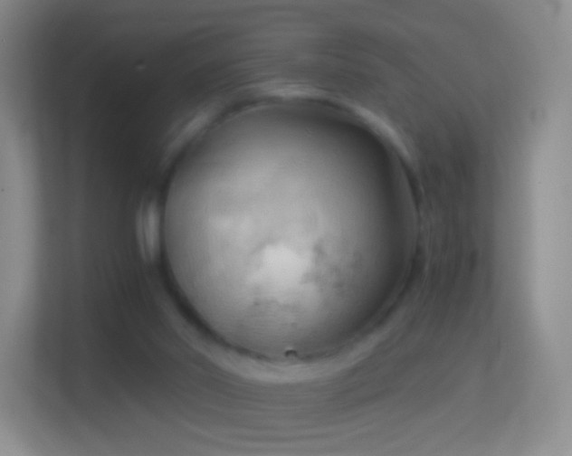 X0000114430014200910231243