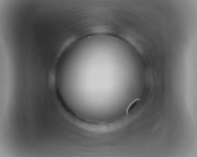 X0000114430015200910231243