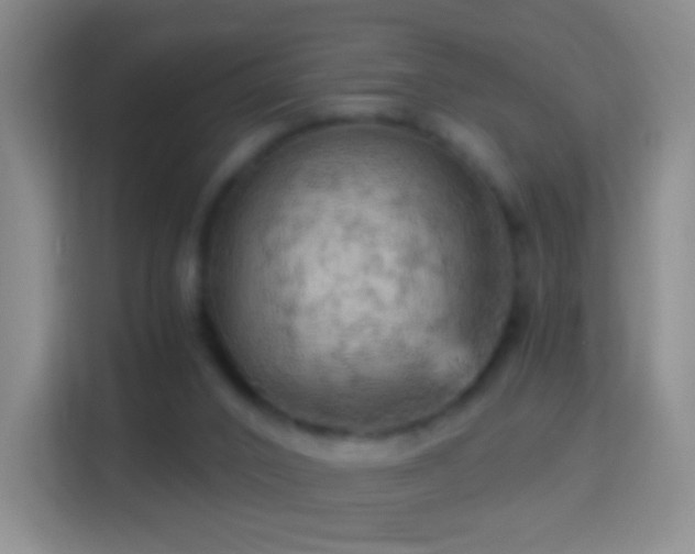 X0000114430016200910231243