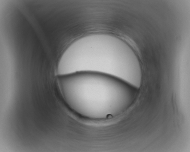 X0000114430017200910231243