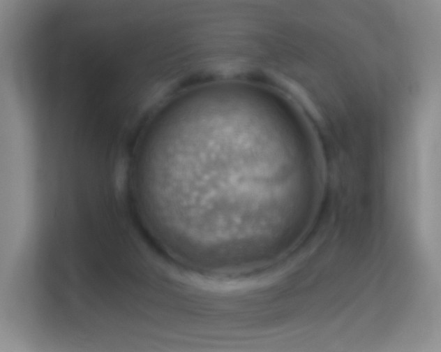 X0000114430018200910231243