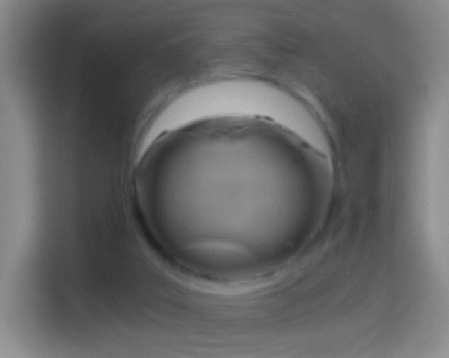 X0000114430019200910231243
