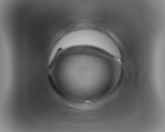 X0000114430023200910231243