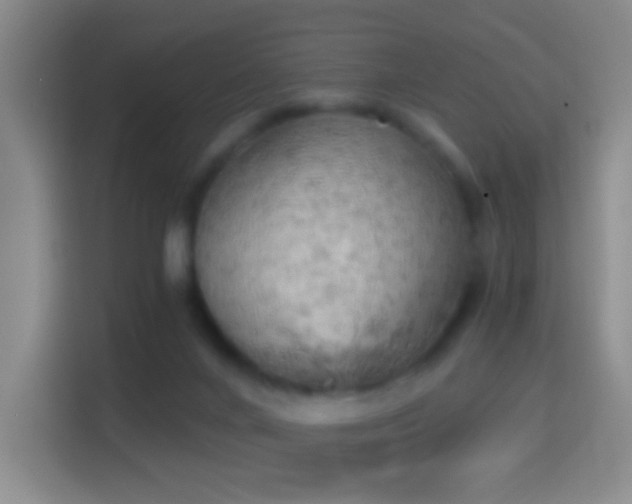 X0000114430024200910231243