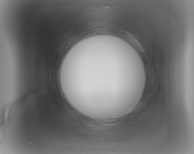 X0000114430025200910231243