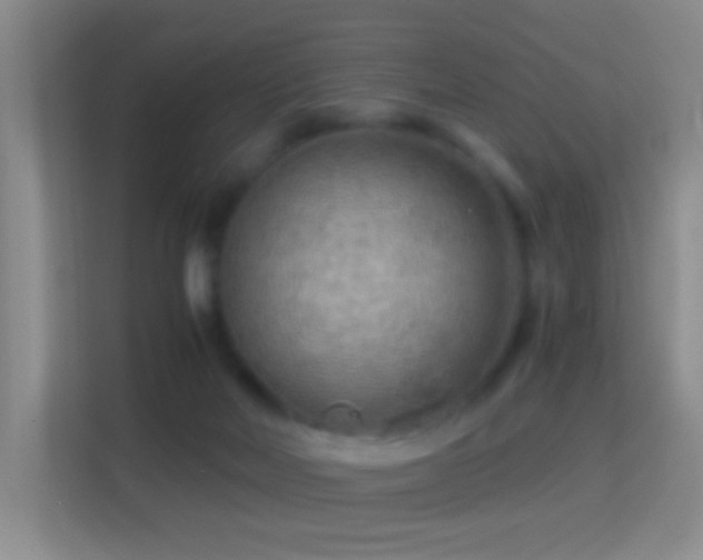 X0000114430026200910231243
