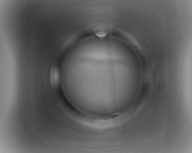 X0000114430027200910231242