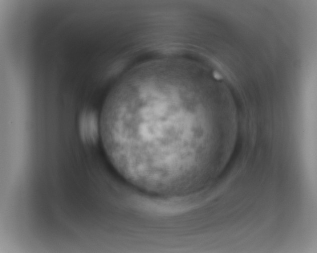 X0000114430028200910231242