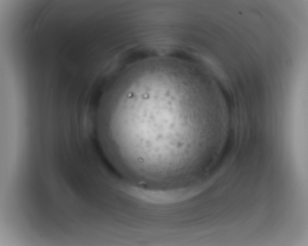 X0000114430030200910231242