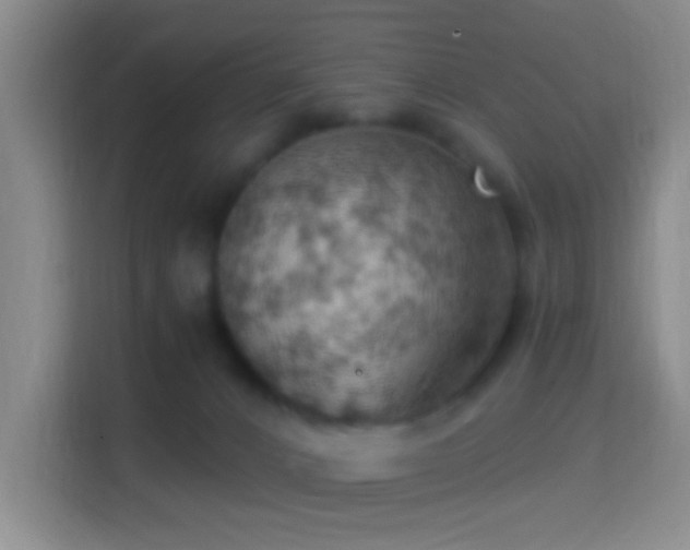 X0000114430032200910231242