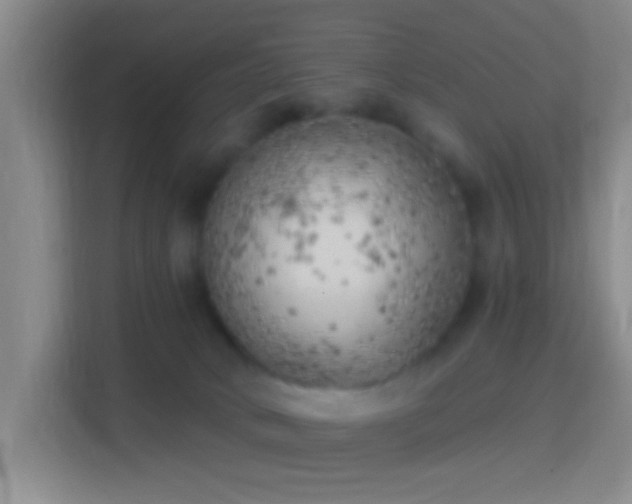 X0000114430034200910231242