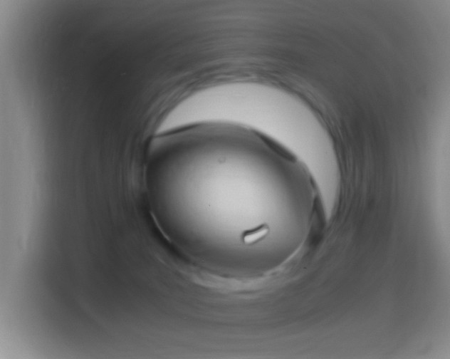 X0000114430035200910231242
